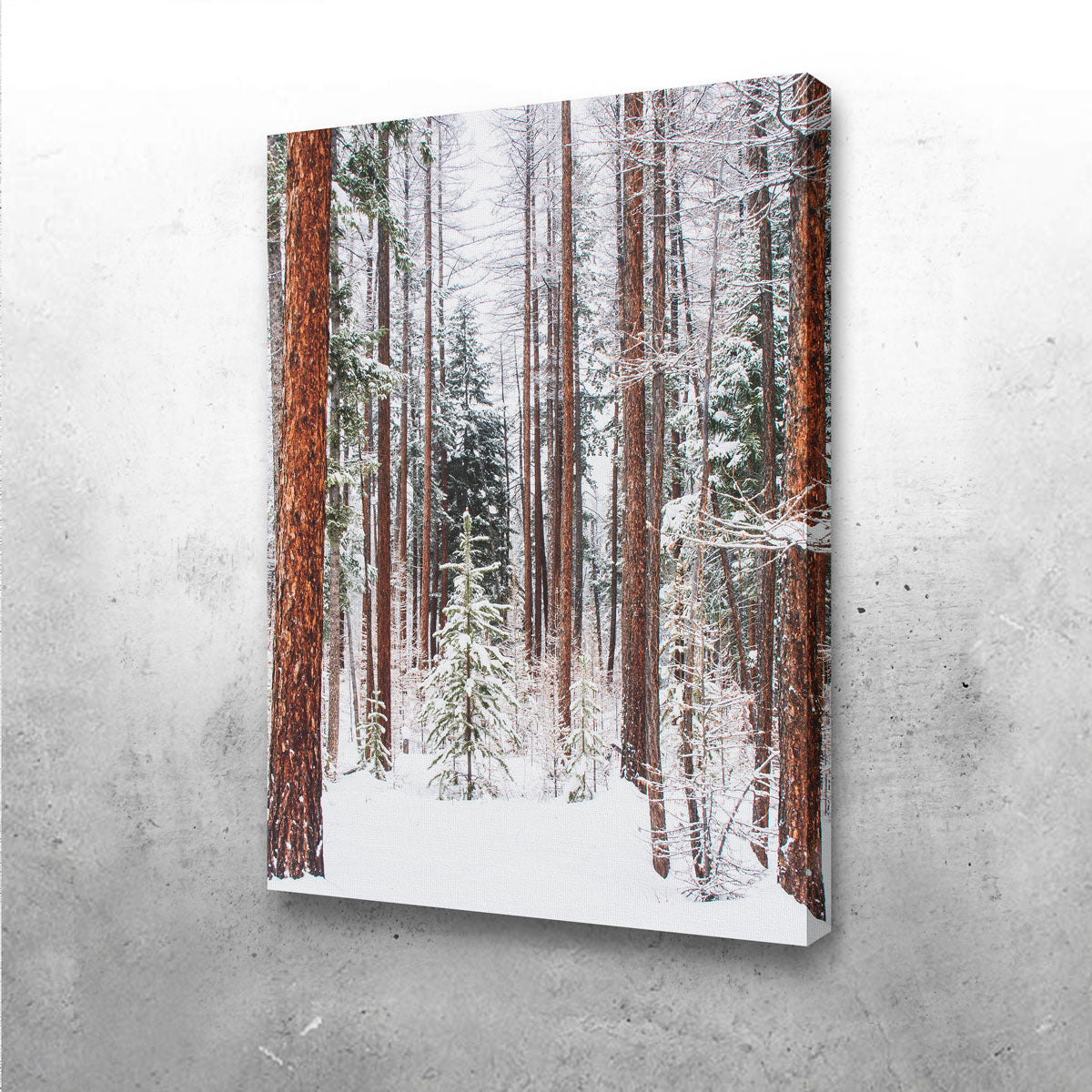 Lois Creek Stunning Wall Art by Mike Cotton
