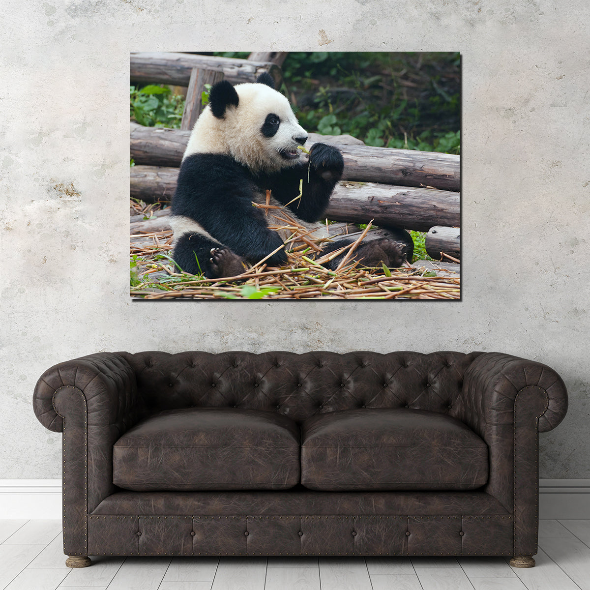 Adorable Panda Bear Eating Bamboo Wall Art for Home Decor