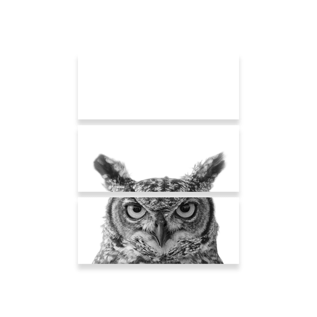 Stunning Owl Wall Art by Lawisi