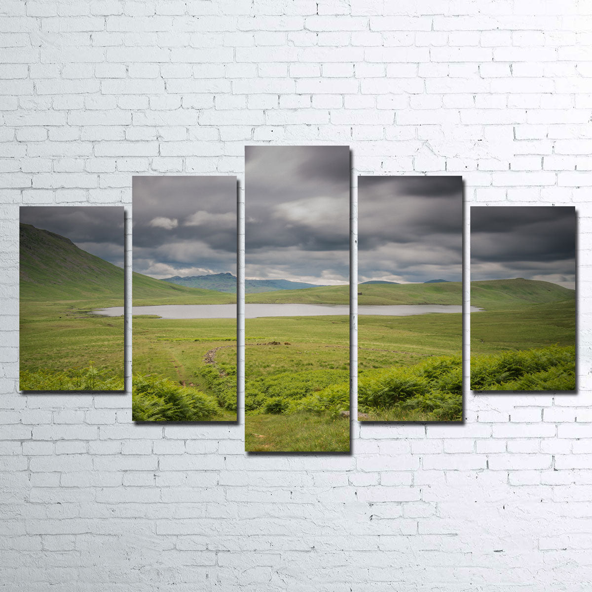 Stunning Lonely Pond Wall Art by Mike Cotton