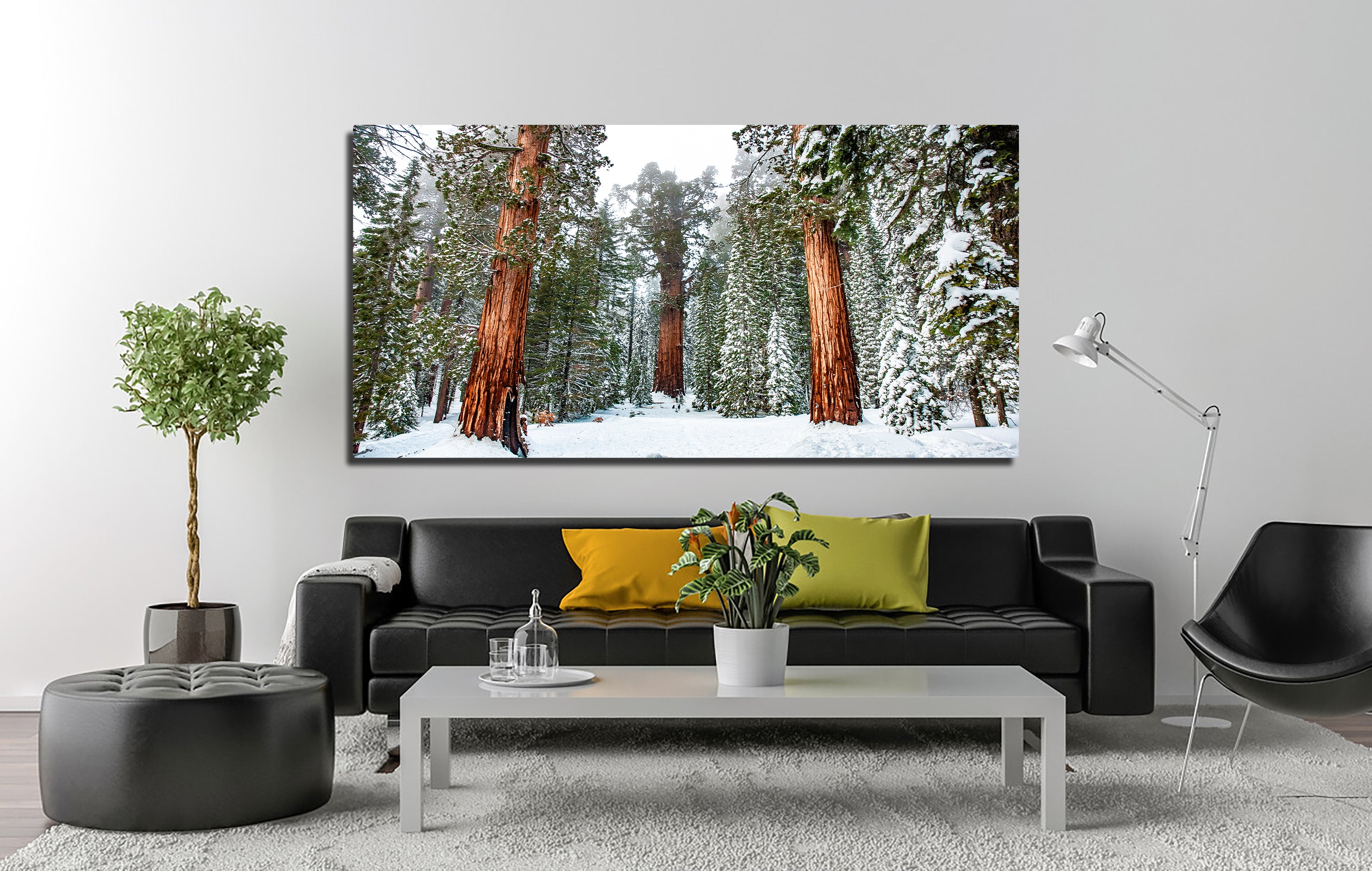 Kyle Sherry's Exquisite General Panoramic Wall Art