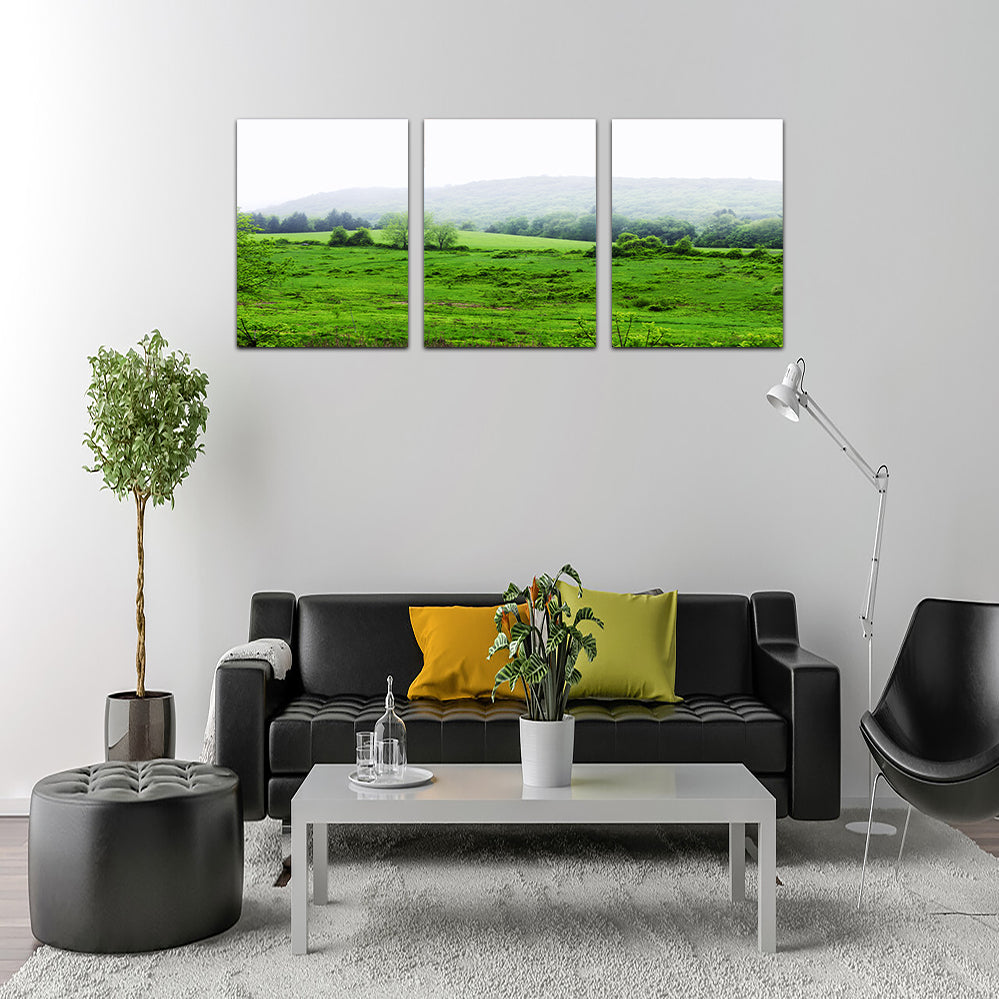 Tarrywile Park Stunning Wall Art for Your Home