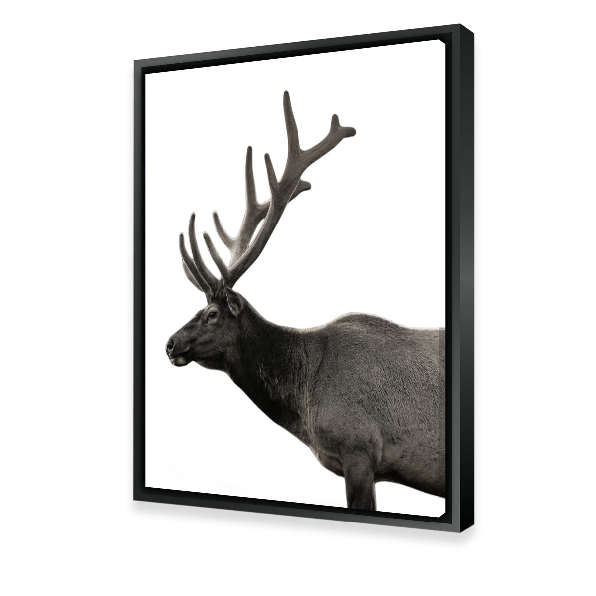 Exquisite Deer Grayscale Wall Art by Lawisi