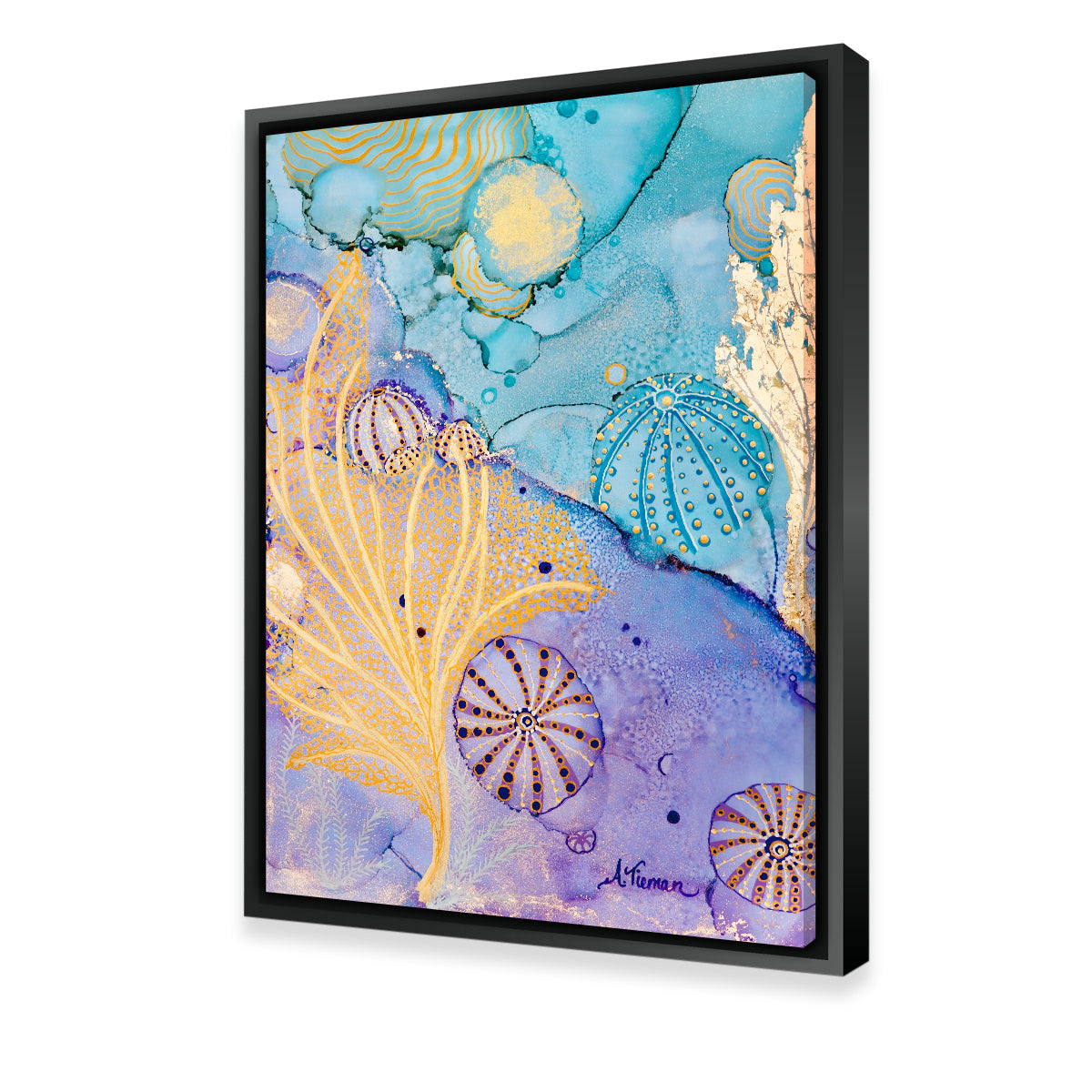Exquisite Sea Urchin Hideaway Wall Art by Amy Tieman