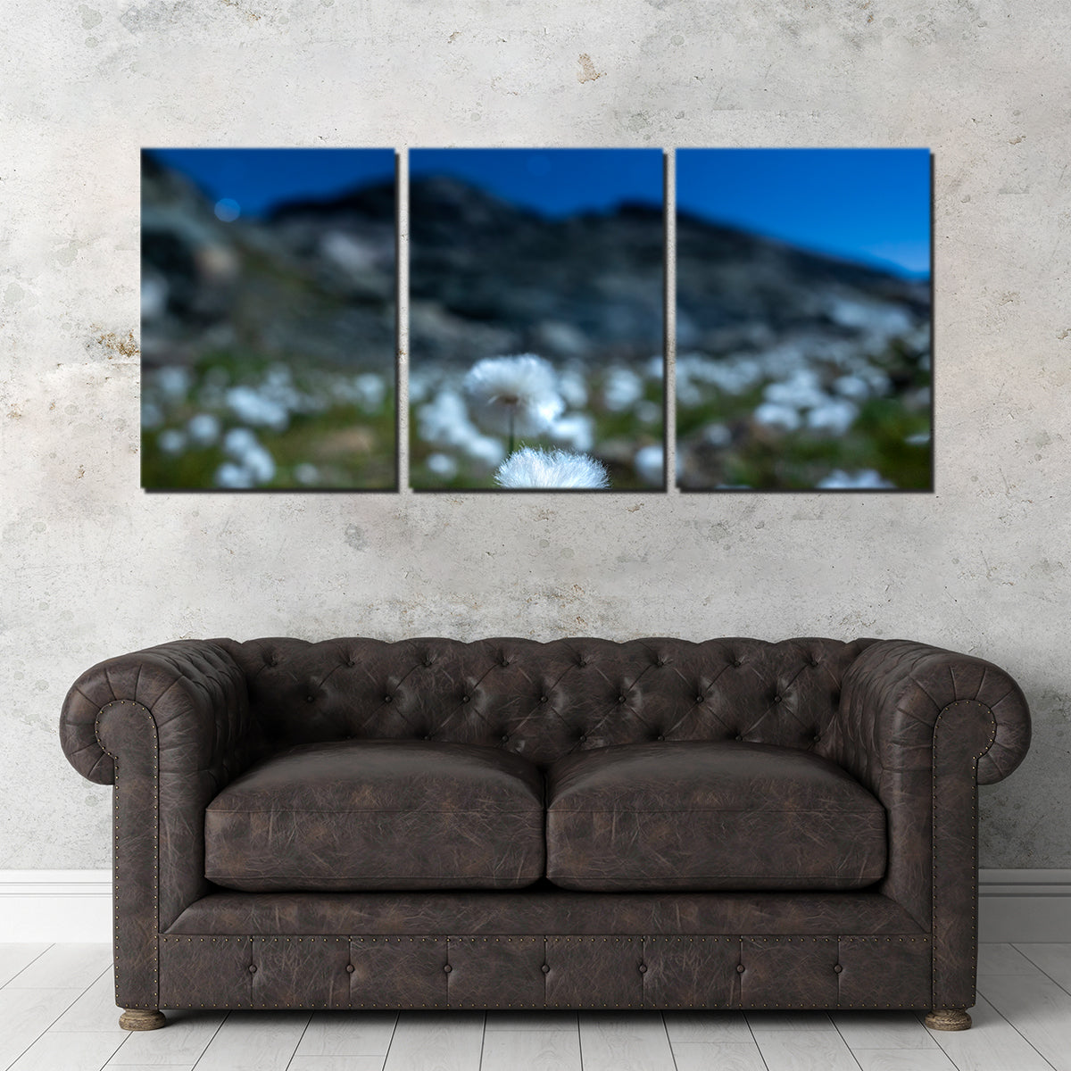 Exquisite Star Studded Linaigrette Wall Art by Jeff Graphy