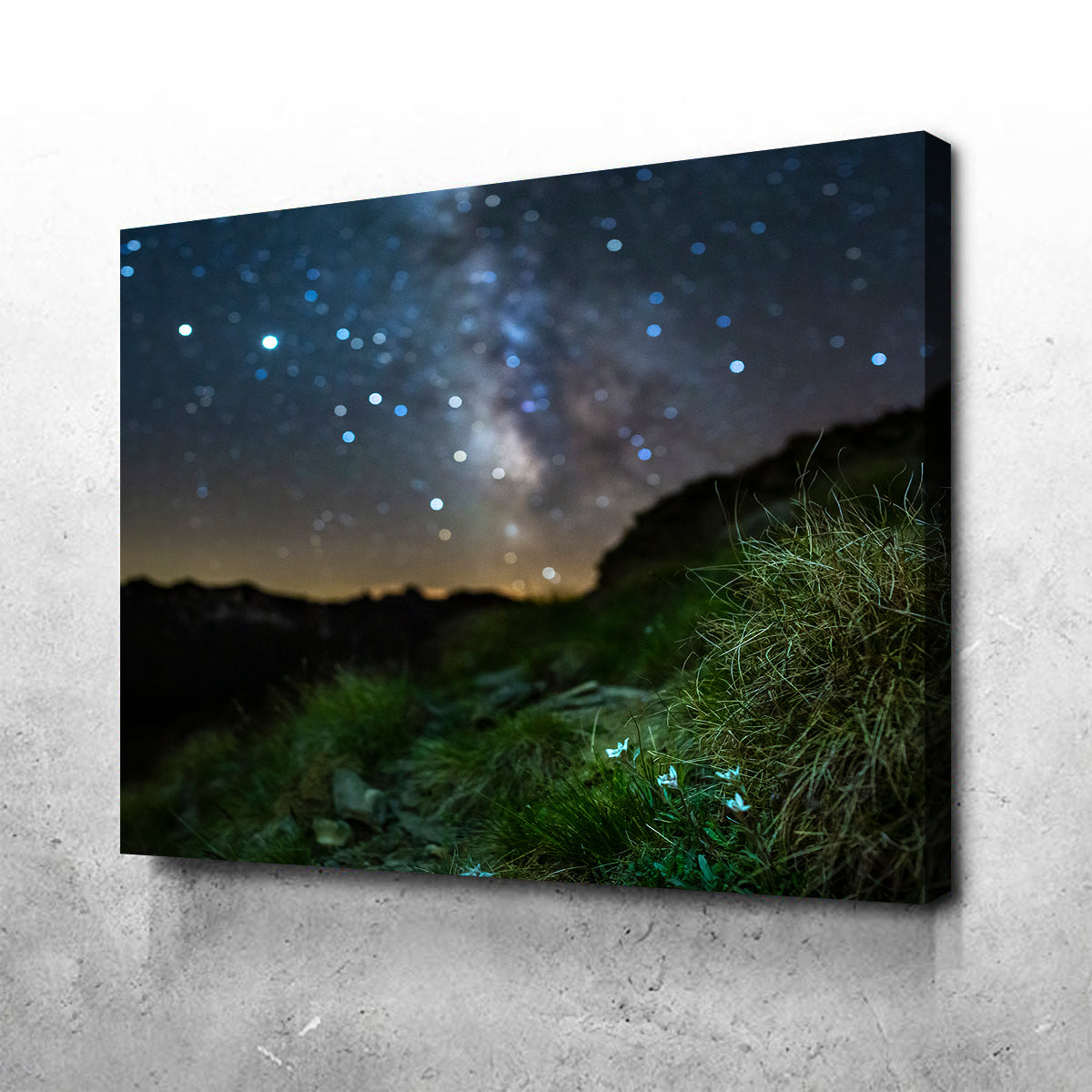 Gorgeous Star Studded Edelweiss Wall Art by Jeff Graphy