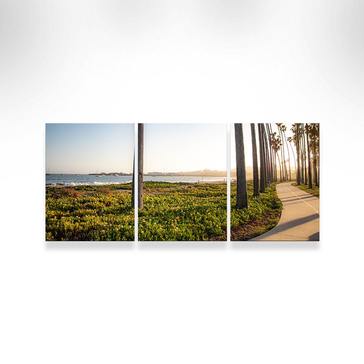 Stunning Santa Barbara Bike Path Wall Art by Kyle Sherry