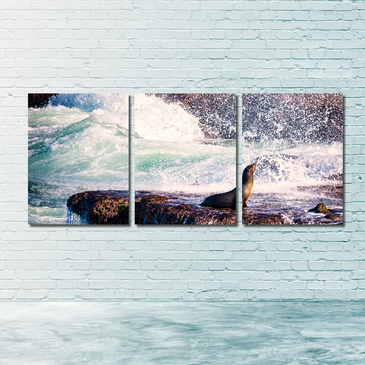 Stunning Sea Lion Surf La Jolla Wall Art for Coastal Home Decor