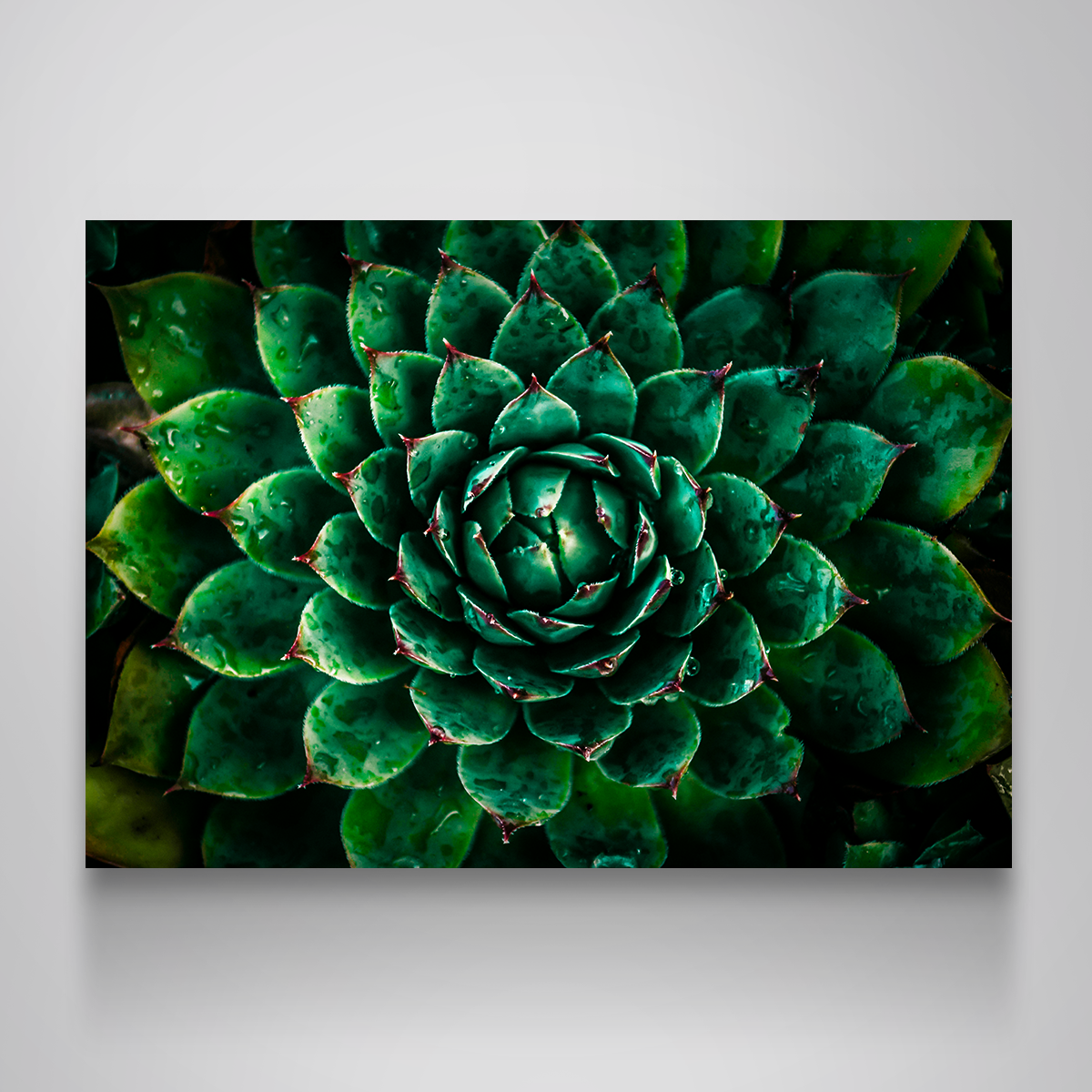 Stunning Green Wall Art by Manuel Luces