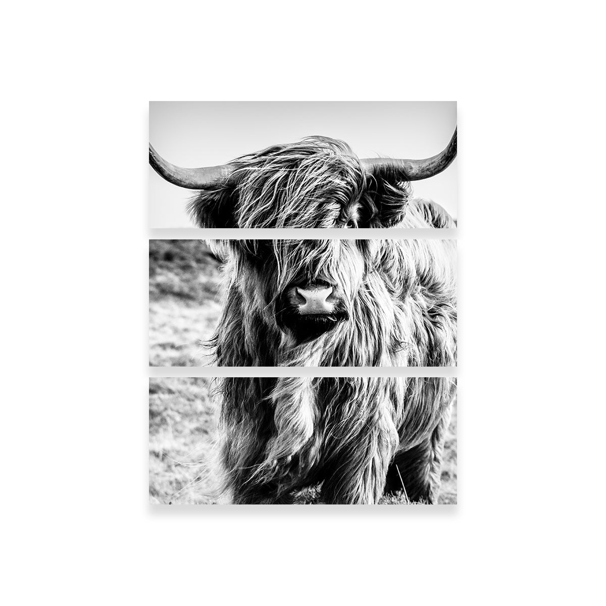 Exquisite Scottish Highland Cow Wall Art for Stunning Decor