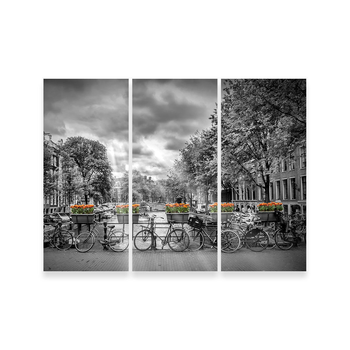 Exquisite Amsterdam Wall Art by Melanie Viola