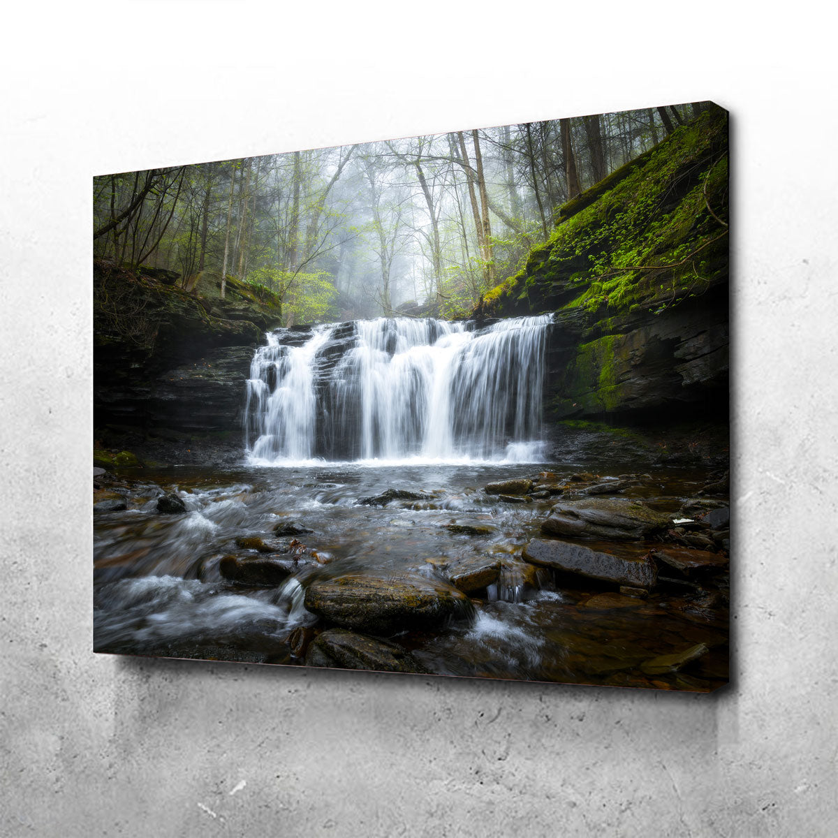 Exquisite Green Serenity Wall Art by Dennis Maida