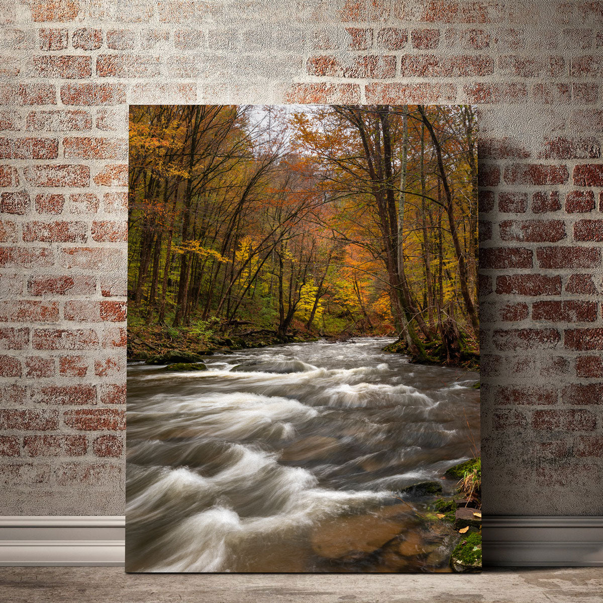 Stunning Tanner's River Wall Art by Shaun Mayer