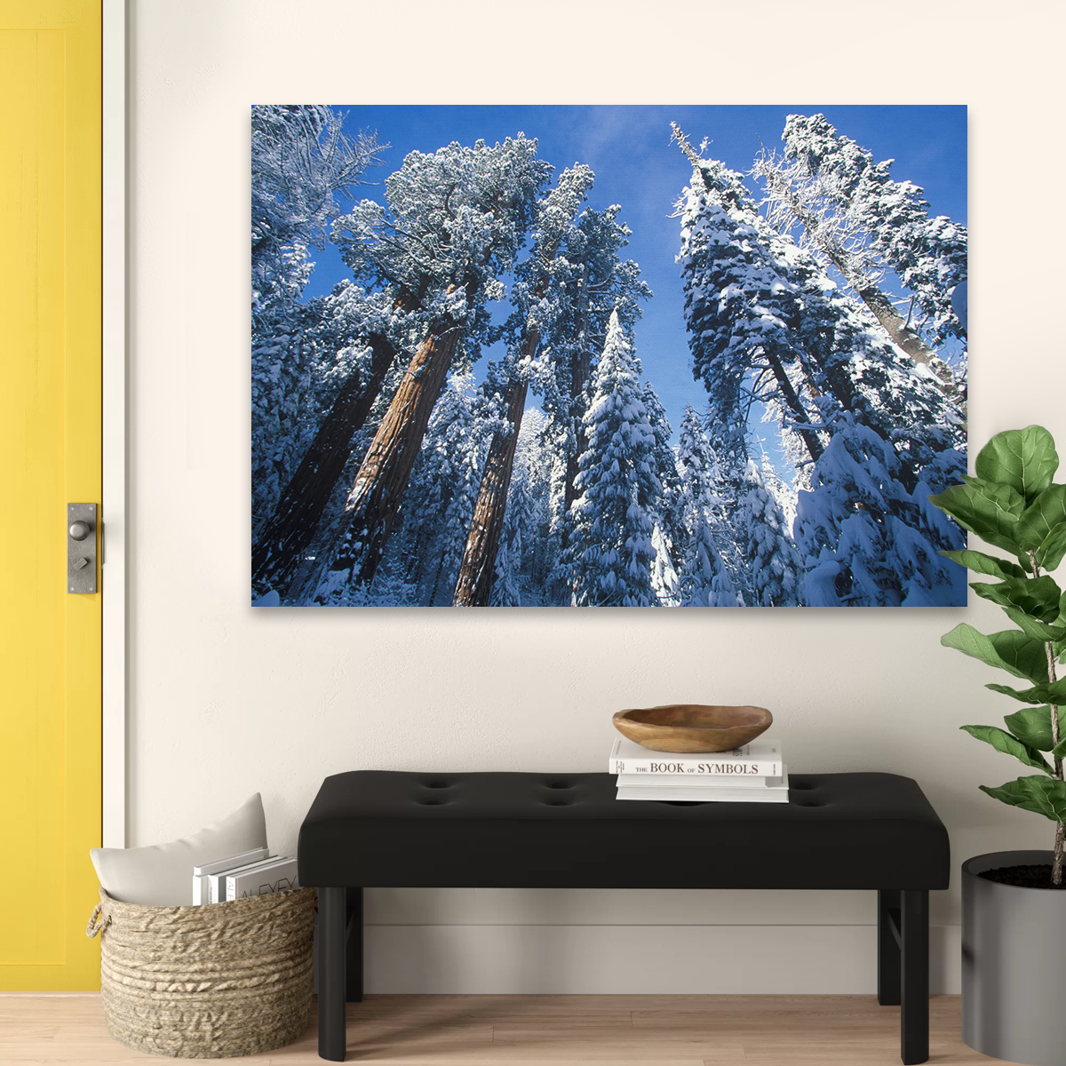 Breathtaking Redwoods Covered in Snow Wall Art for Your Home