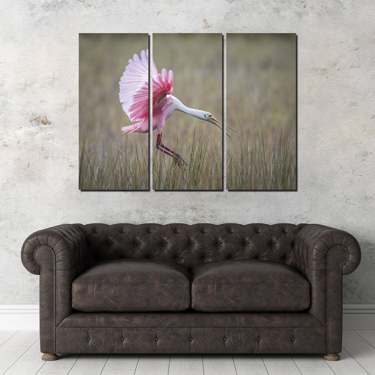 Stunning Roseate Spoonbill Wall Art from Merritt Island Wildlife Refuge