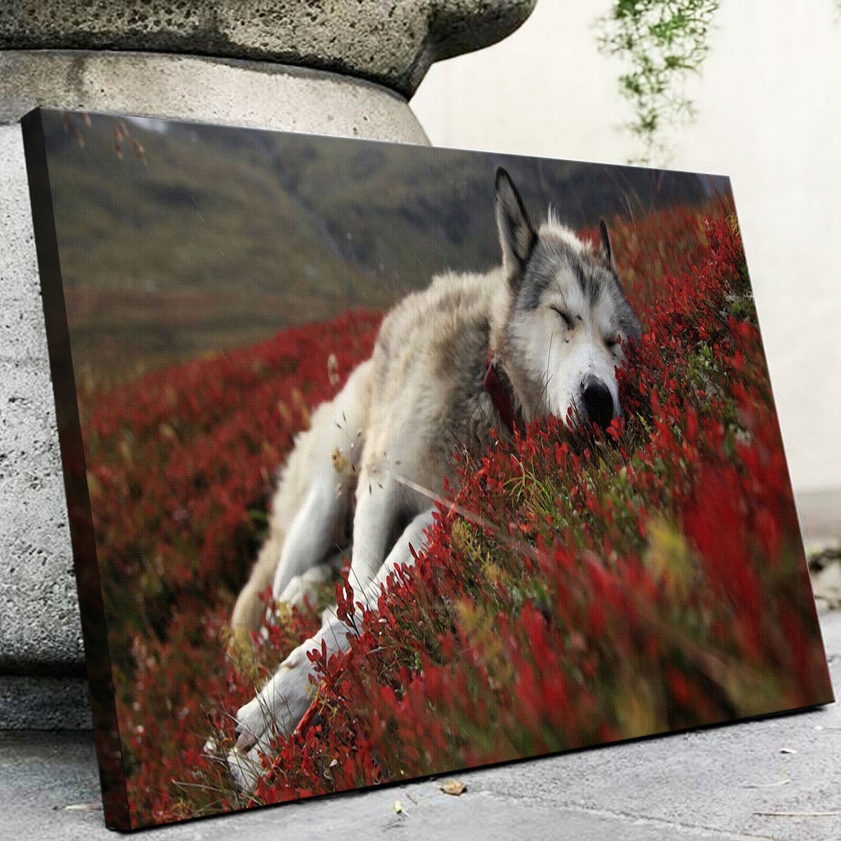 Exquisite Peaceful Pup Wall Art for a Calming Home Decor
