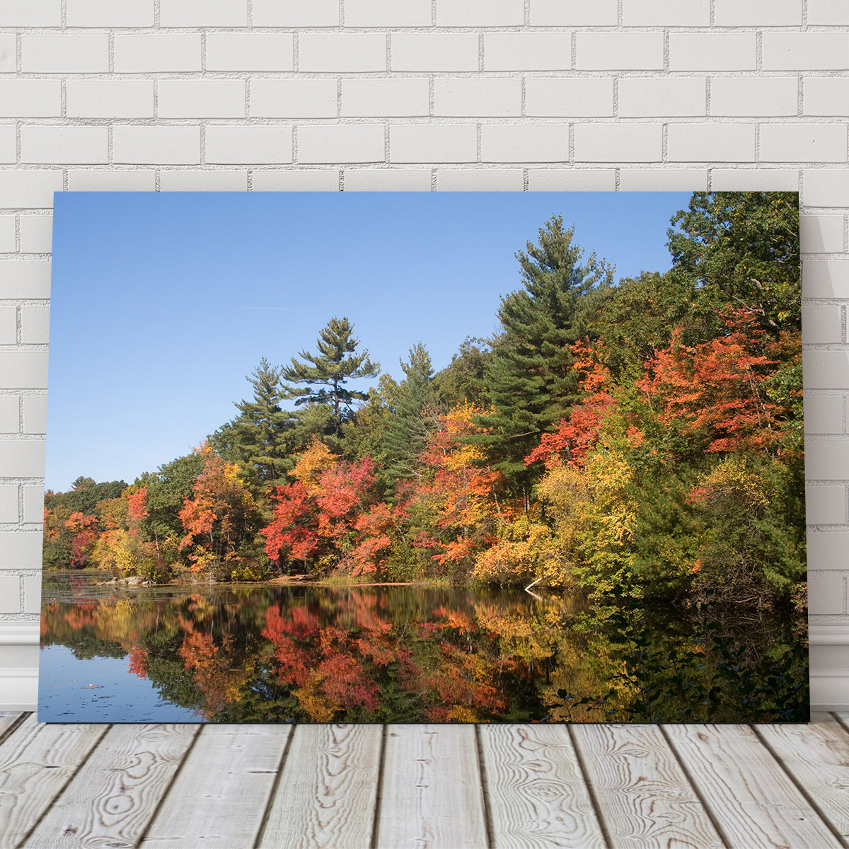 Stunning Harold Parker State Park Wall Art for Home Decor