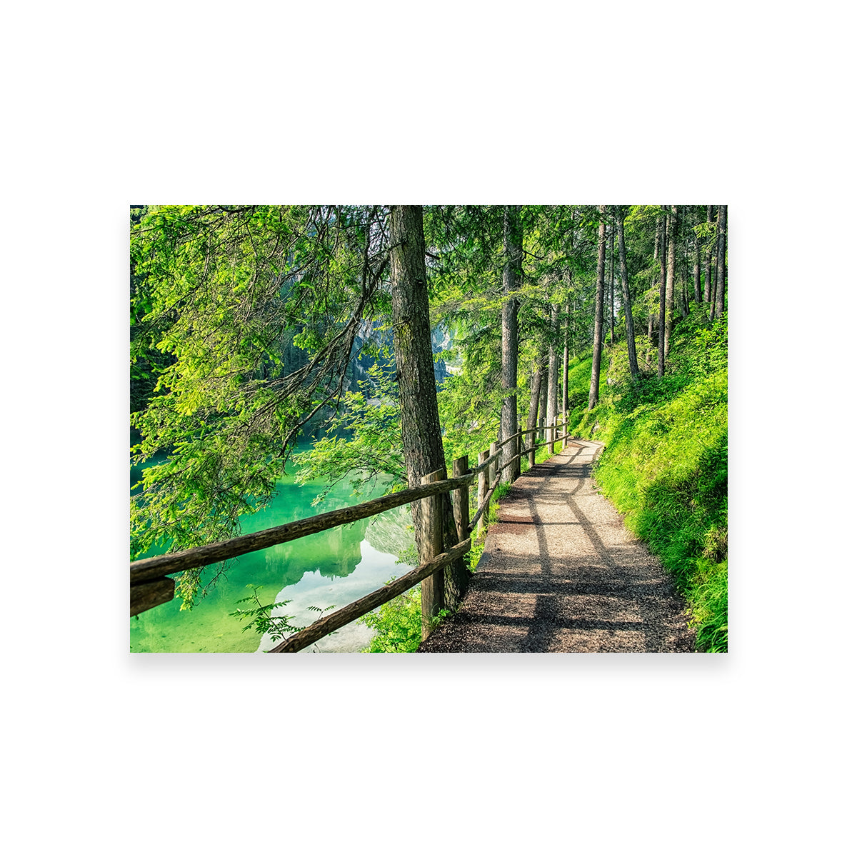 Stunning Path By The Lake Wall Art for Your Home Decor