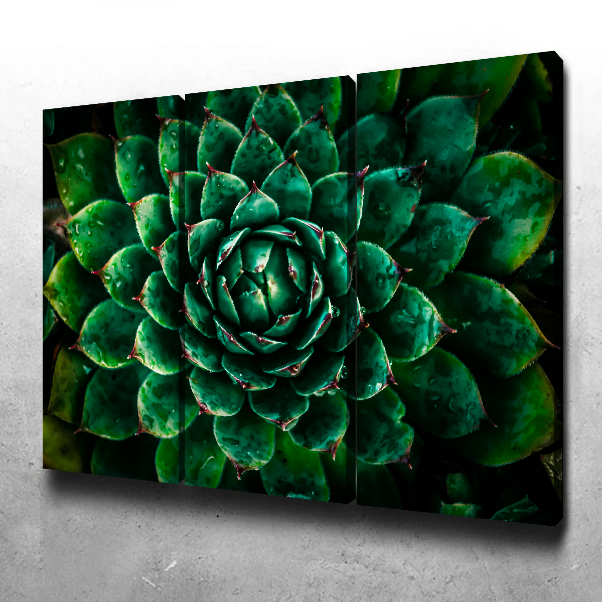 Stunning Green Wall Art by Manuel Luces