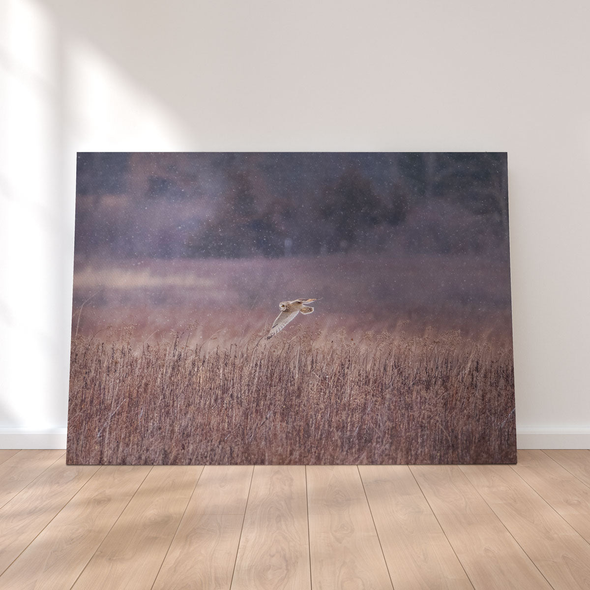 Stunning Owl in the Snow Wall Art by Dennis Maida