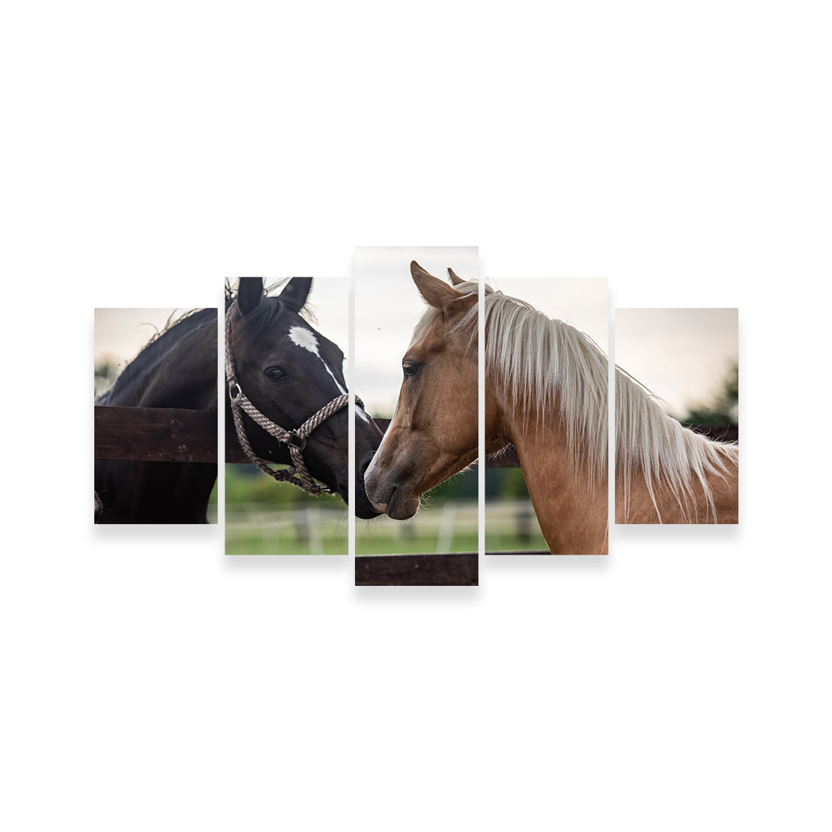 Exquisite Quarter Horses Wall Art for Stunning Decor