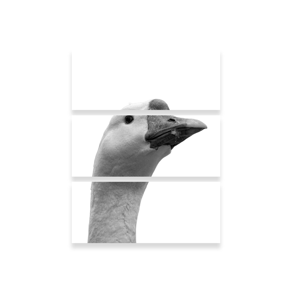 Exquisite Goose Head Wall Art by Lawisi