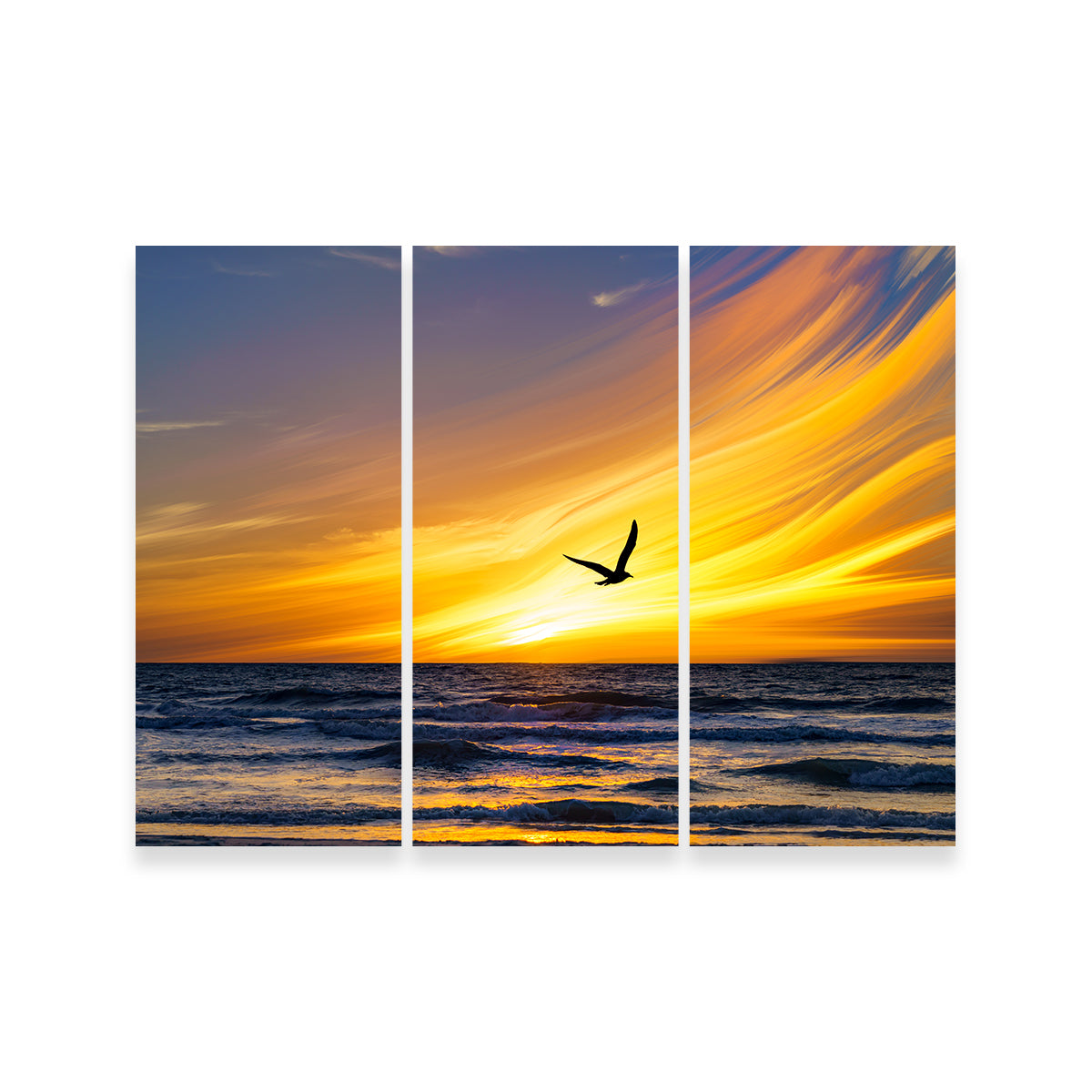 Exquisite A Fly By Wall Art by Eileen Rollin