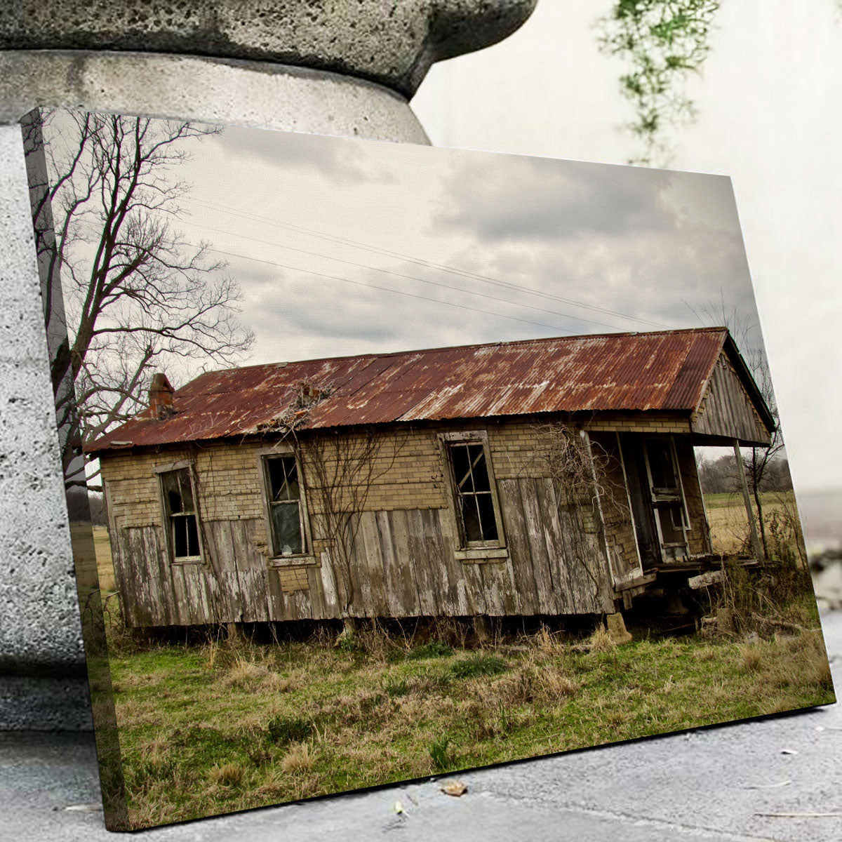 Louisiana Abandoned Cabin Wall Art by David Campbell - Museum Quality Canvas