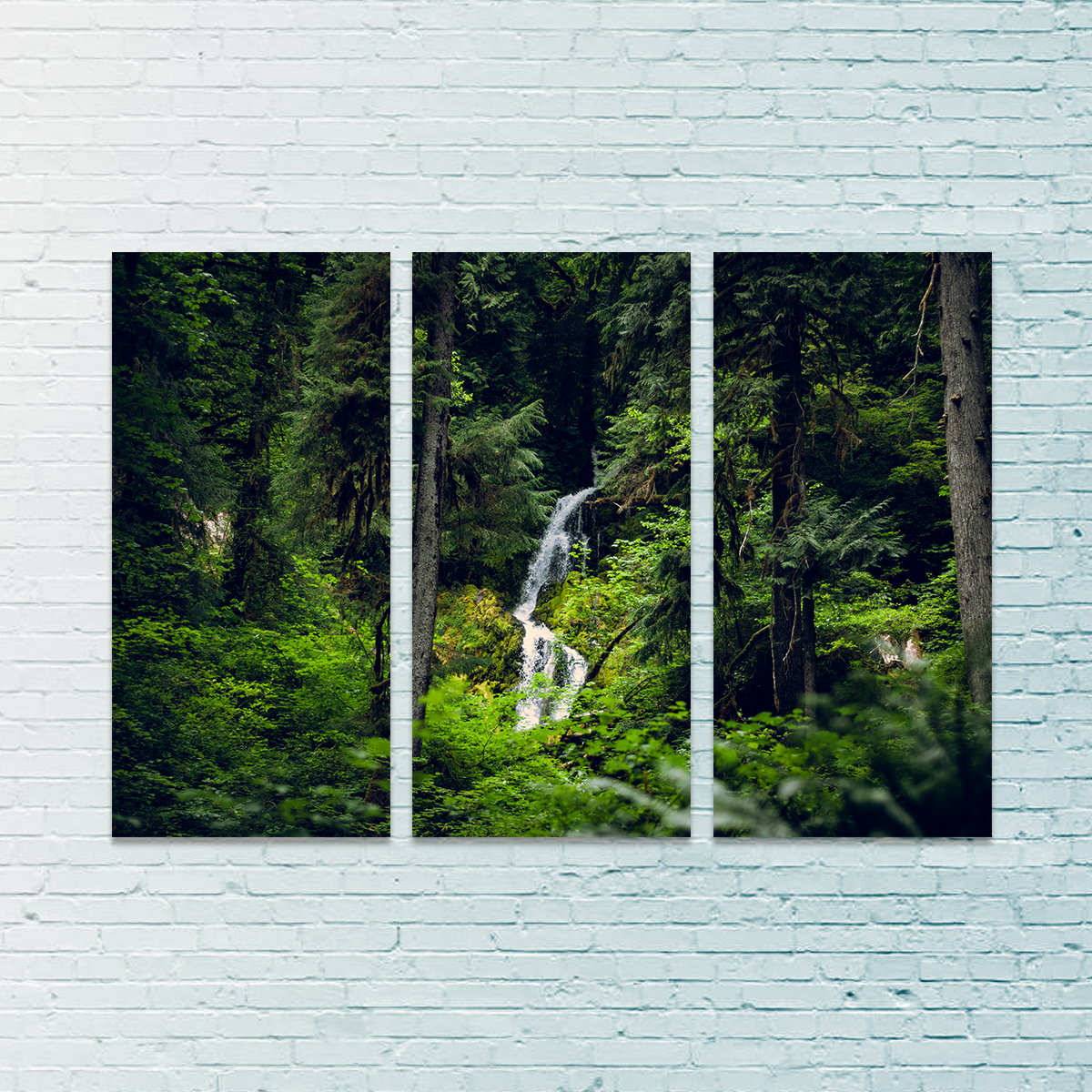 Exquisite Rainforest Waterfall Wall Art by Kyle Sherry