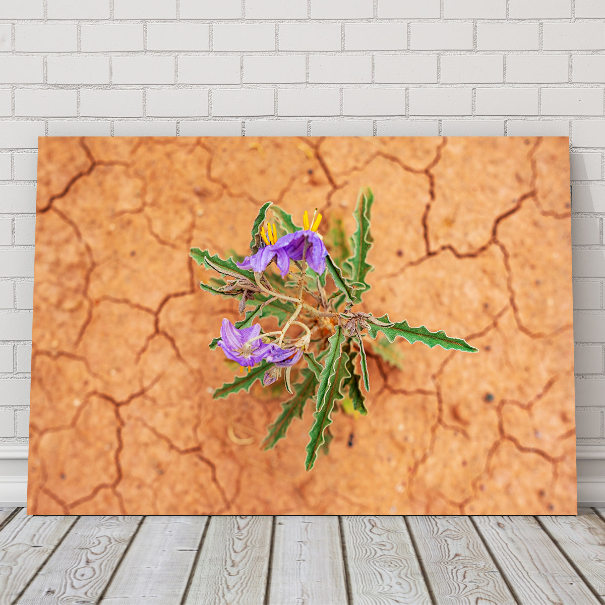 Gorgeous Purple Desert Wild Flowers Wall Art for Stunning Decor