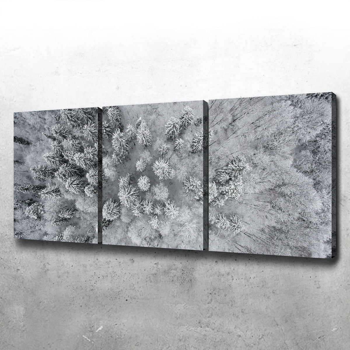 Exquisite Forest Snow Wall Art by Karolis Janulis