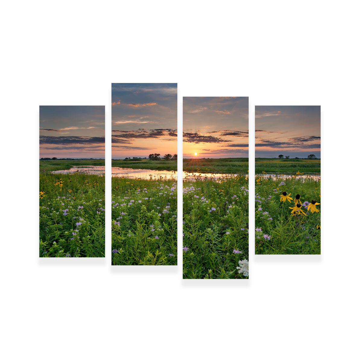 Stunning Open Field in Illinois Wall Art for Your Home Decor