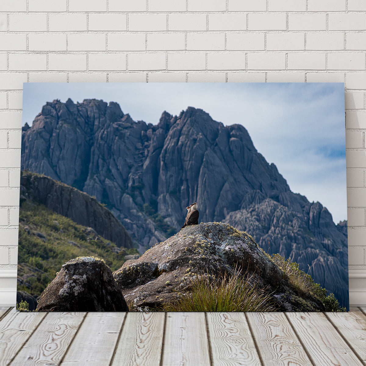 Stunning Eagles and The Black Needles Wall Art by Sofia Leite Fonseca