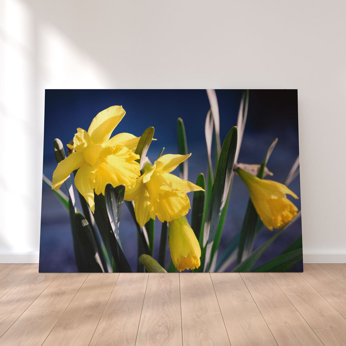 Gorgeous Spring Bloom Wall Art by Shaun Mayer