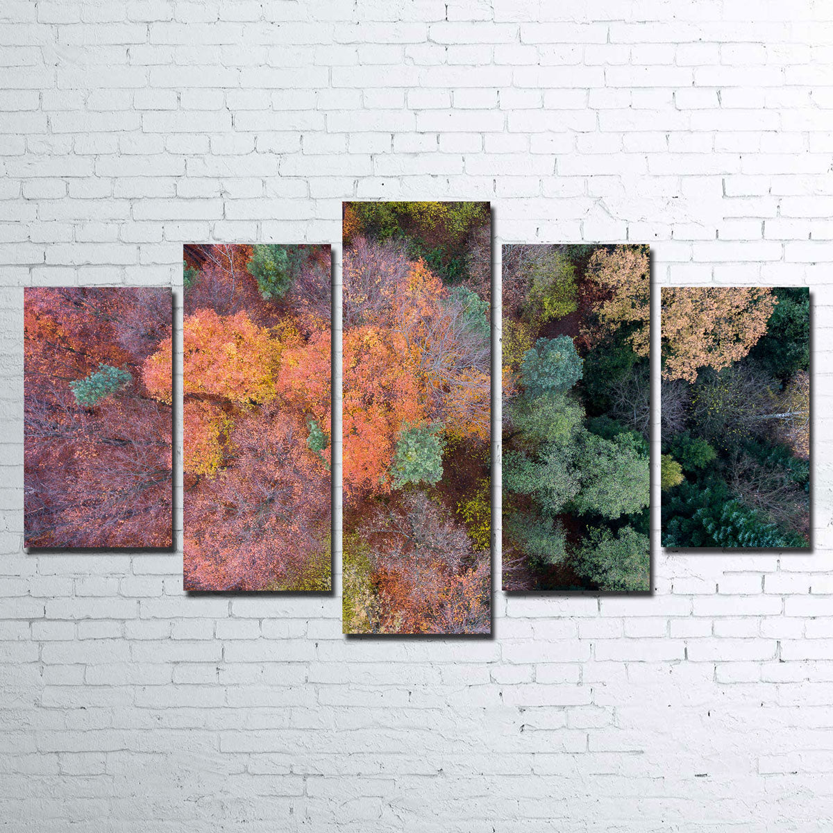 Stunning Orange and Green Wall Art by Karolis Janulis