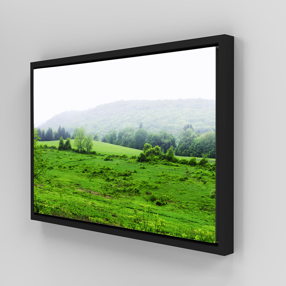 Tarrywile Park Stunning Wall Art for Your Home