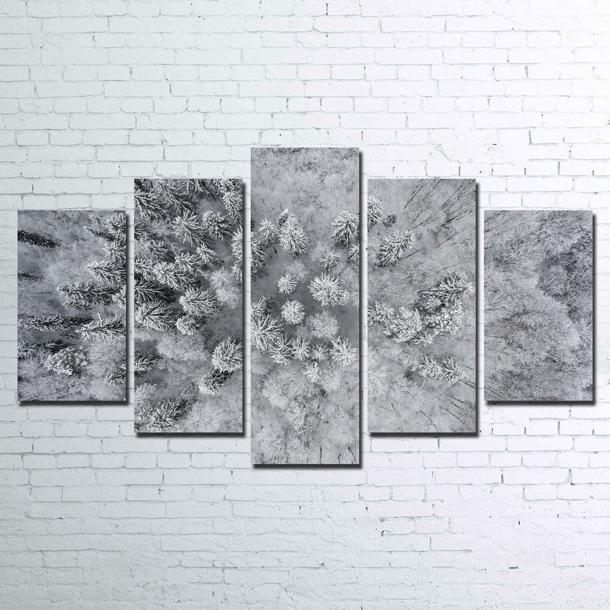 Exquisite Forest Snow Wall Art by Karolis Janulis