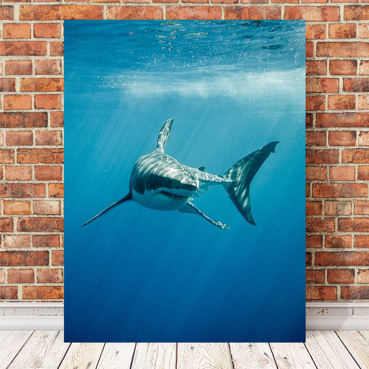 Stunning Great White Shark Swimming Wall Art for Home Decor