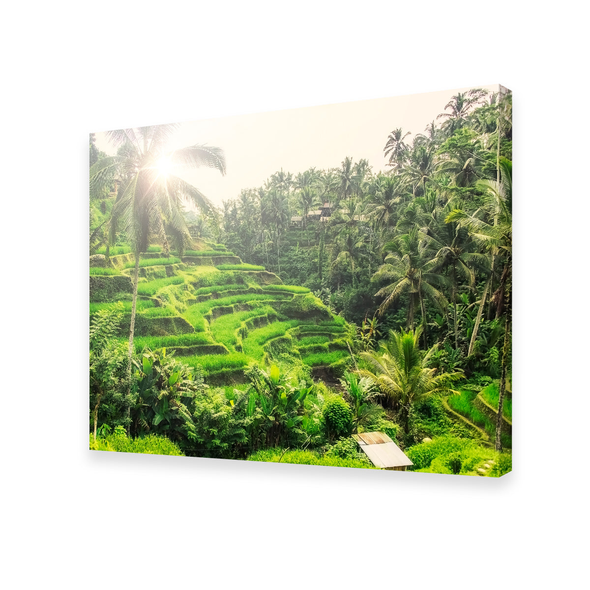 Tegallalang Wall Art - Premium Handmade Canvas with Sustainable Pine Wood Frames