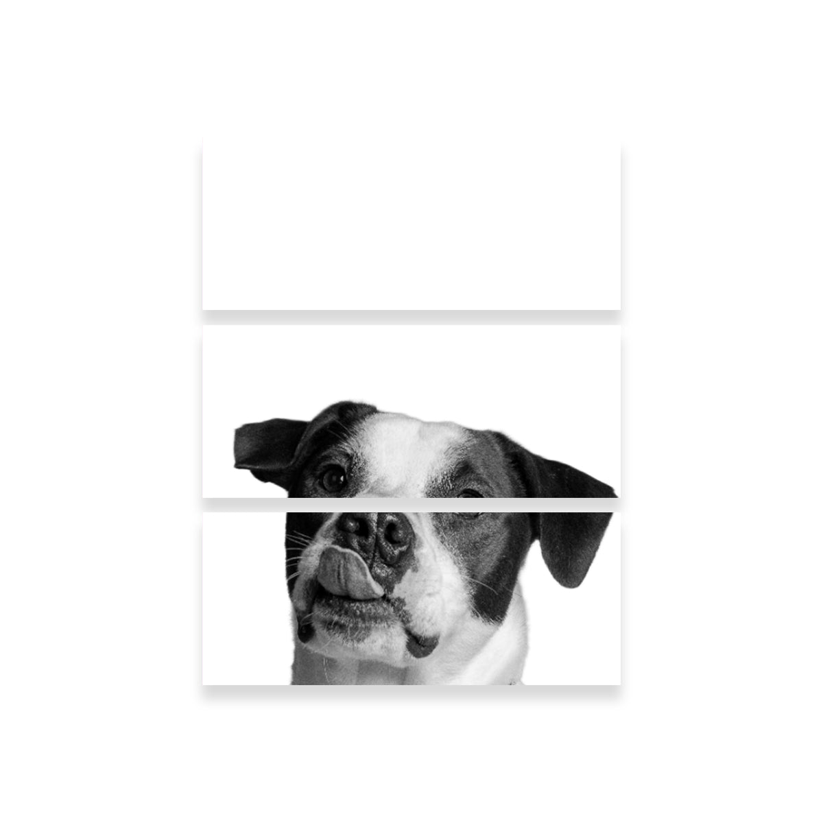 Stylish Dog Wall Art by Lawisi