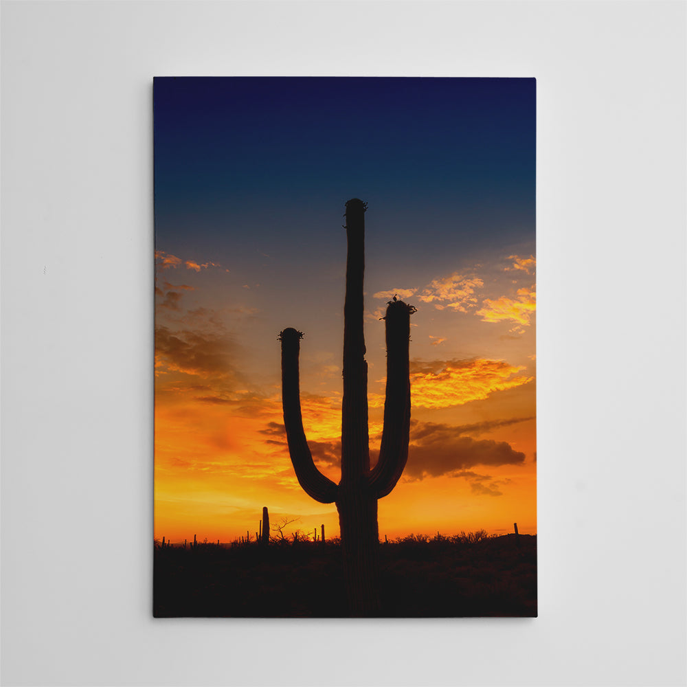 Breathtaking Saguaro National Park Sunset Wall Art by Melanie Viola