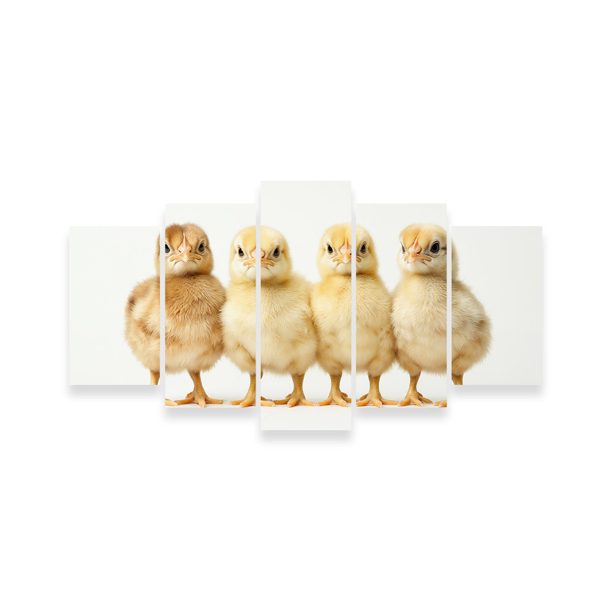 Adorable Four Baby Chickens Wall Art for Your Home Decor