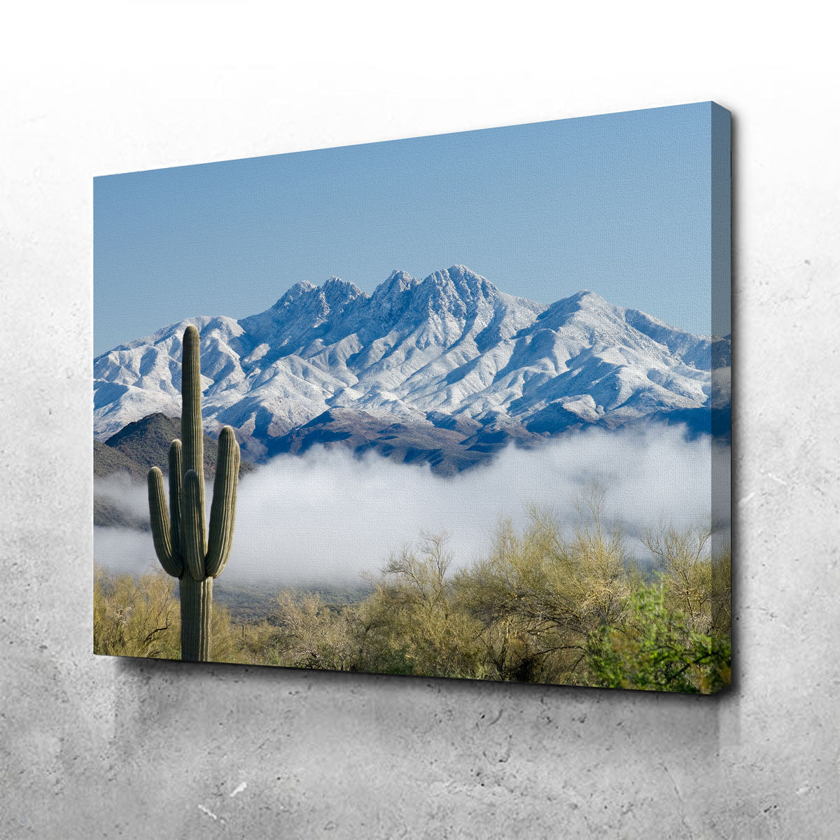 Stunning Saguaro and Four Peaks Wall Art for Your Home Decor