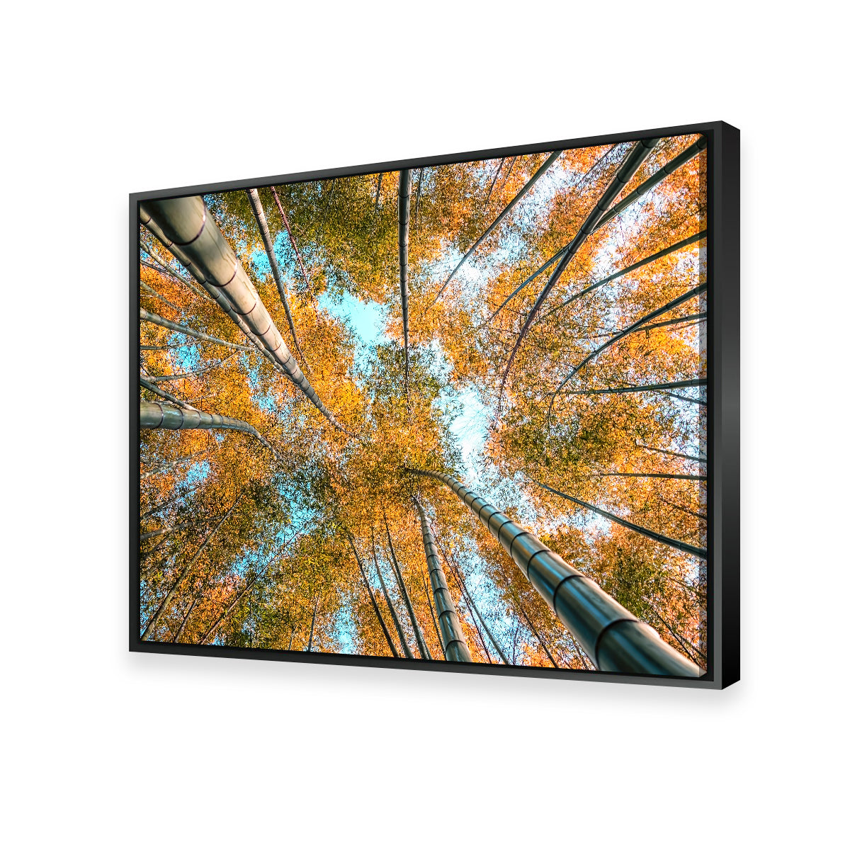 Stunning Into The Grove Wall Art for Your Home Decor