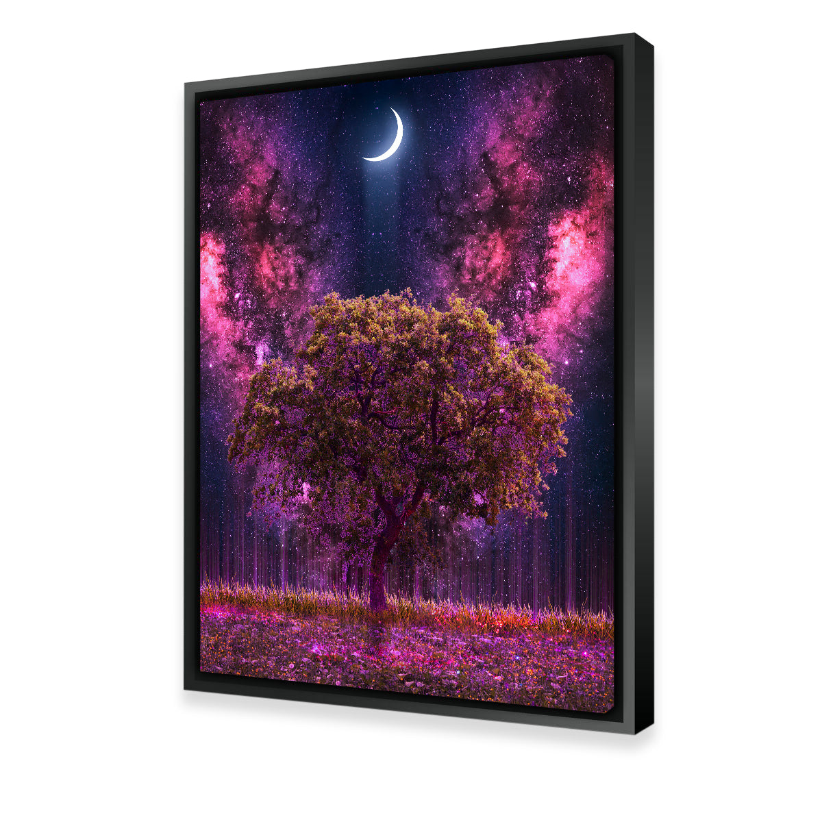 Stunning Space Ground Wall Art by INDOARC