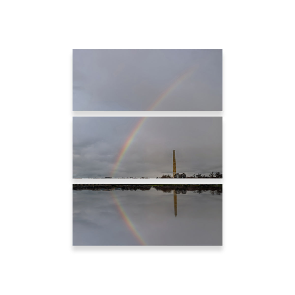 Stunning DC Rainbow Wall Art by Dennis Maida