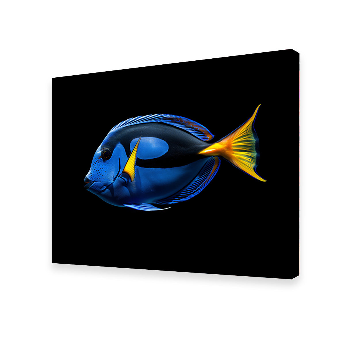 Stunning Regal Blue Tang Fish Wall Art for Home Decor