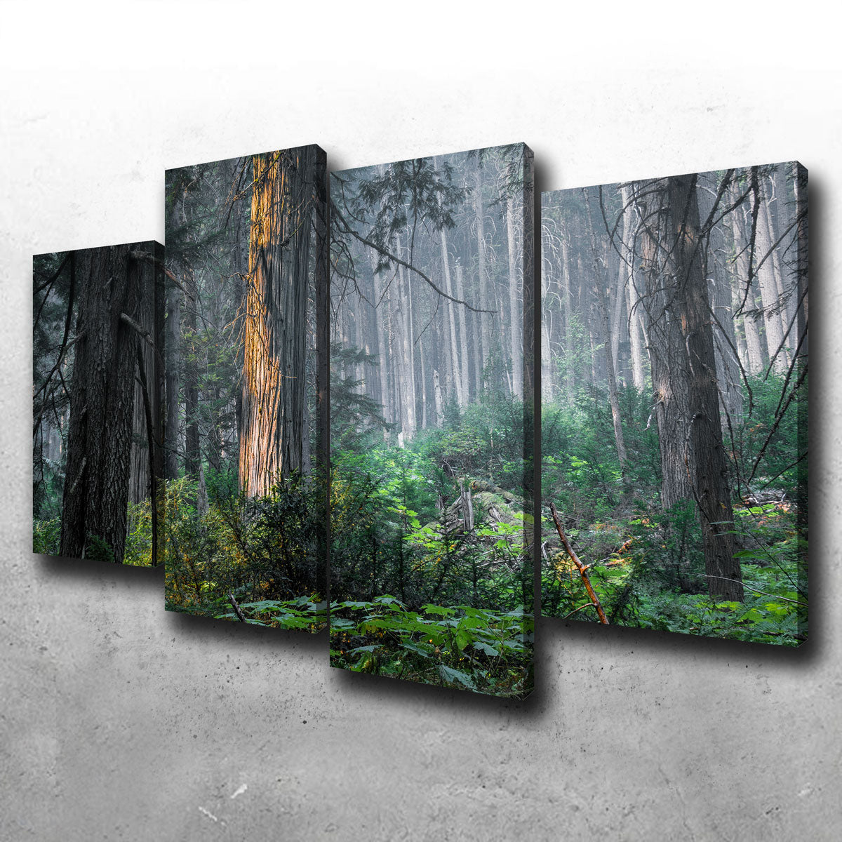 Exquisite Revelstoke Wall Art by Mike Cotton