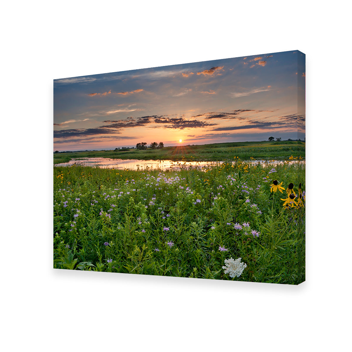 Stunning Open Field in Illinois Wall Art for Your Home Decor