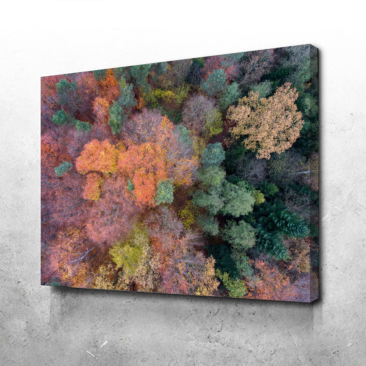 Stunning Orange and Green Wall Art by Karolis Janulis